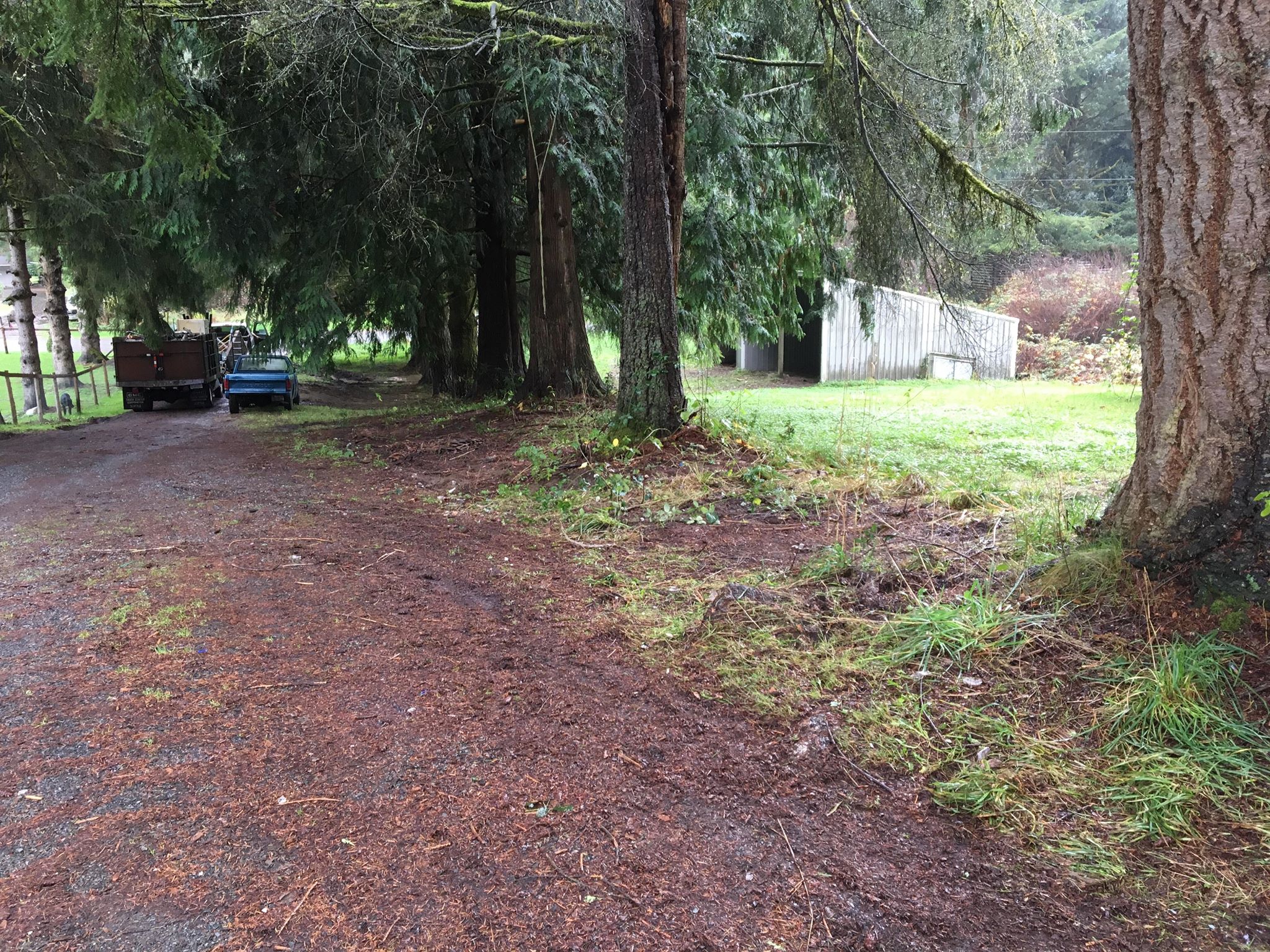 Jim's Clean-Up, LLC.: Junk Removal Gallery